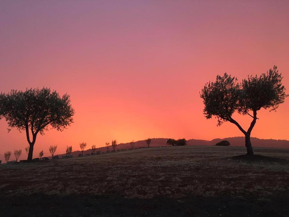 Pianderna Agriwellness Villa Scandiano Buitenkant foto