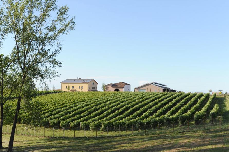 Pianderna Agriwellness Villa Scandiano Buitenkant foto